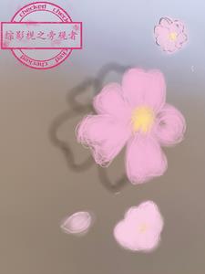 综影视之主角又在打乱剧情
